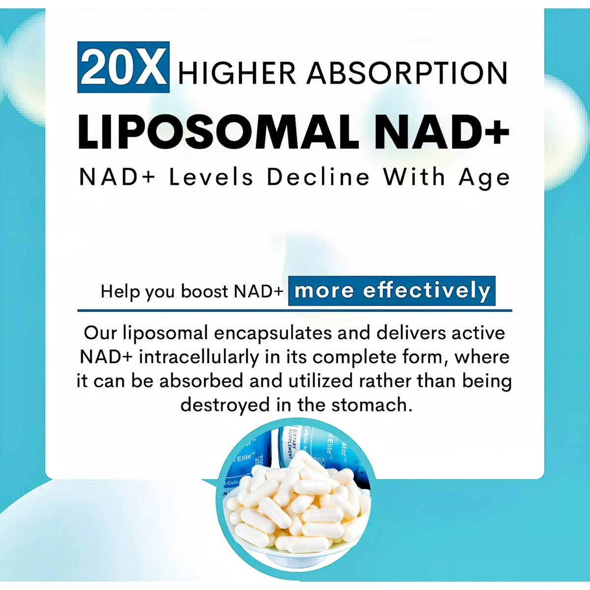 Abronikey NAD Cell Regenerator And Resveratrol Elite - Nads Niacinamide Riboside Supplement - With Trans- Resveratrol, Quercetin - Energy,Focus- 90 Capsule Dietary