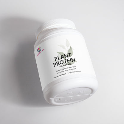 Plant Protein Chocolate 21g Protein, Muscle Recovery, Weight Management, And Digestive Support