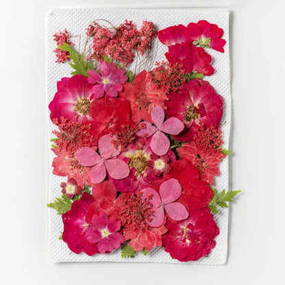 S2e7700e7281440bb927755df37b9fc79c