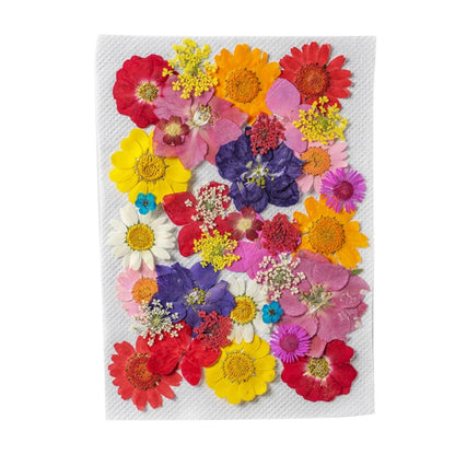 S63b85f6184b44bf8847b00b32d32455aT